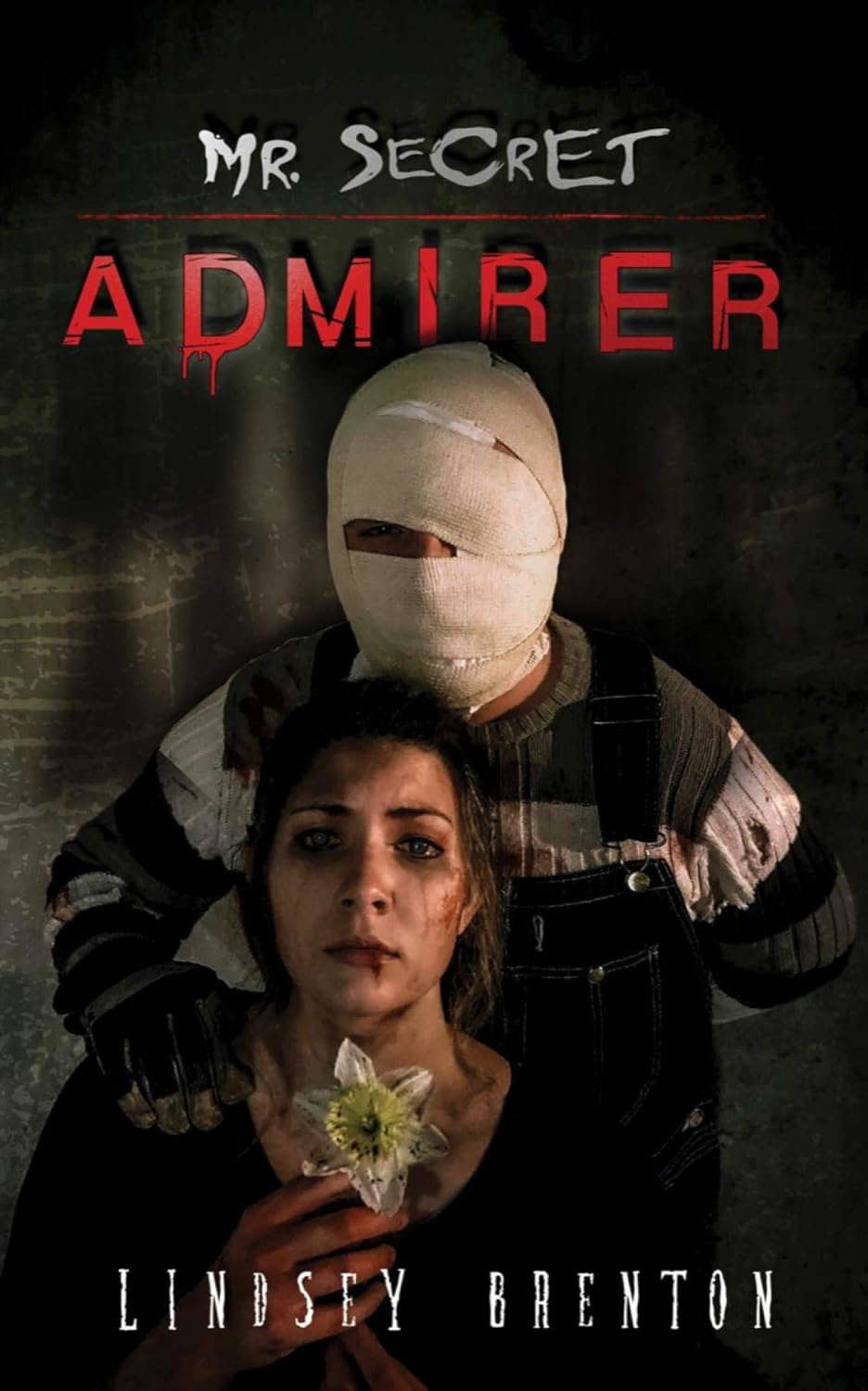 Mr. Secret Admirer poster