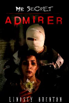 Mr. Secret Admirer poster
