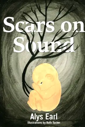 Scars on Sound poster