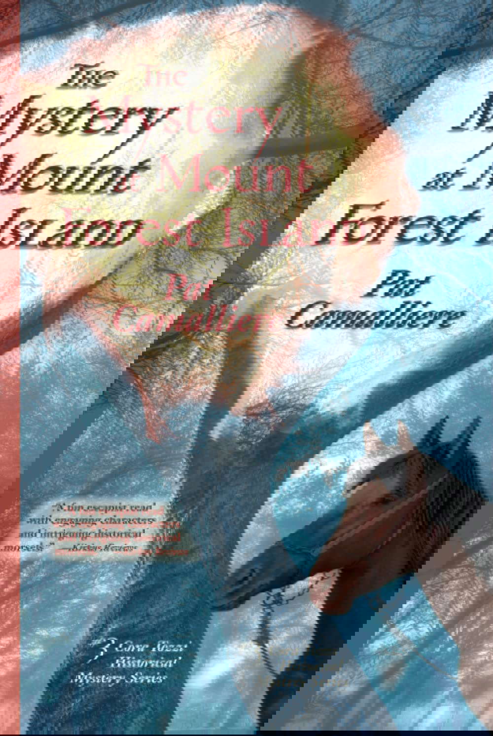 The Mystery at Mount Forest Island poster
