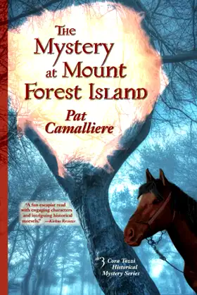 The Mystery at Mount Forest Island poster