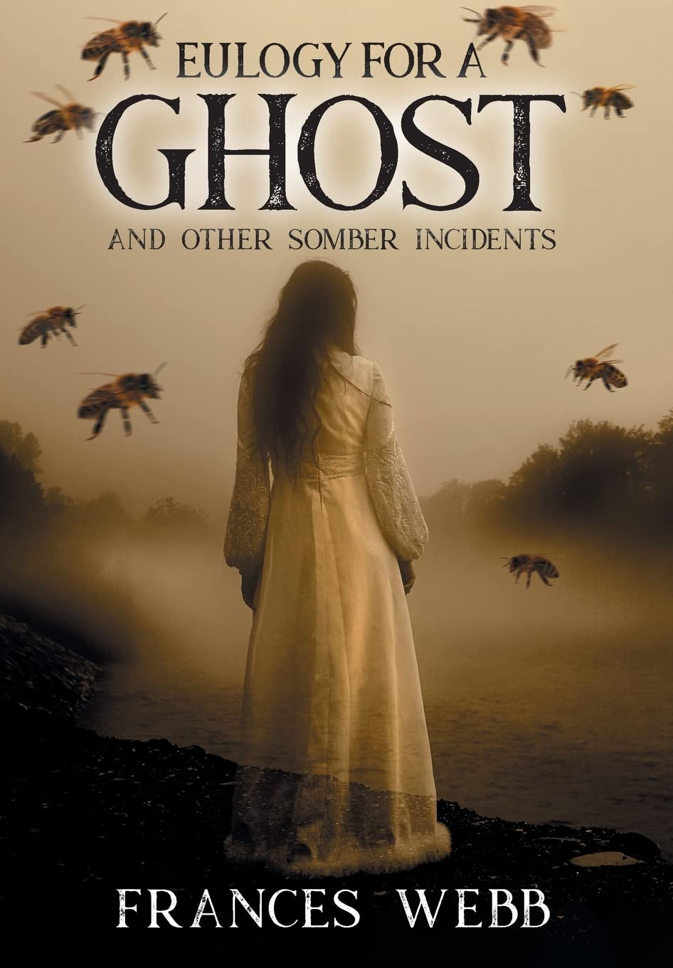 Eulogy for a Ghost and Other Somber Incidents poster