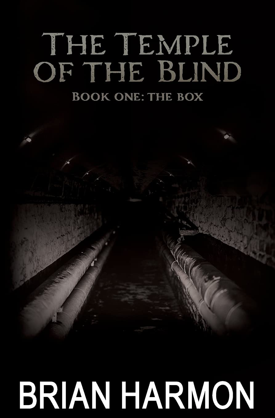 The Box: Book One of The Temple of the Blind poster
