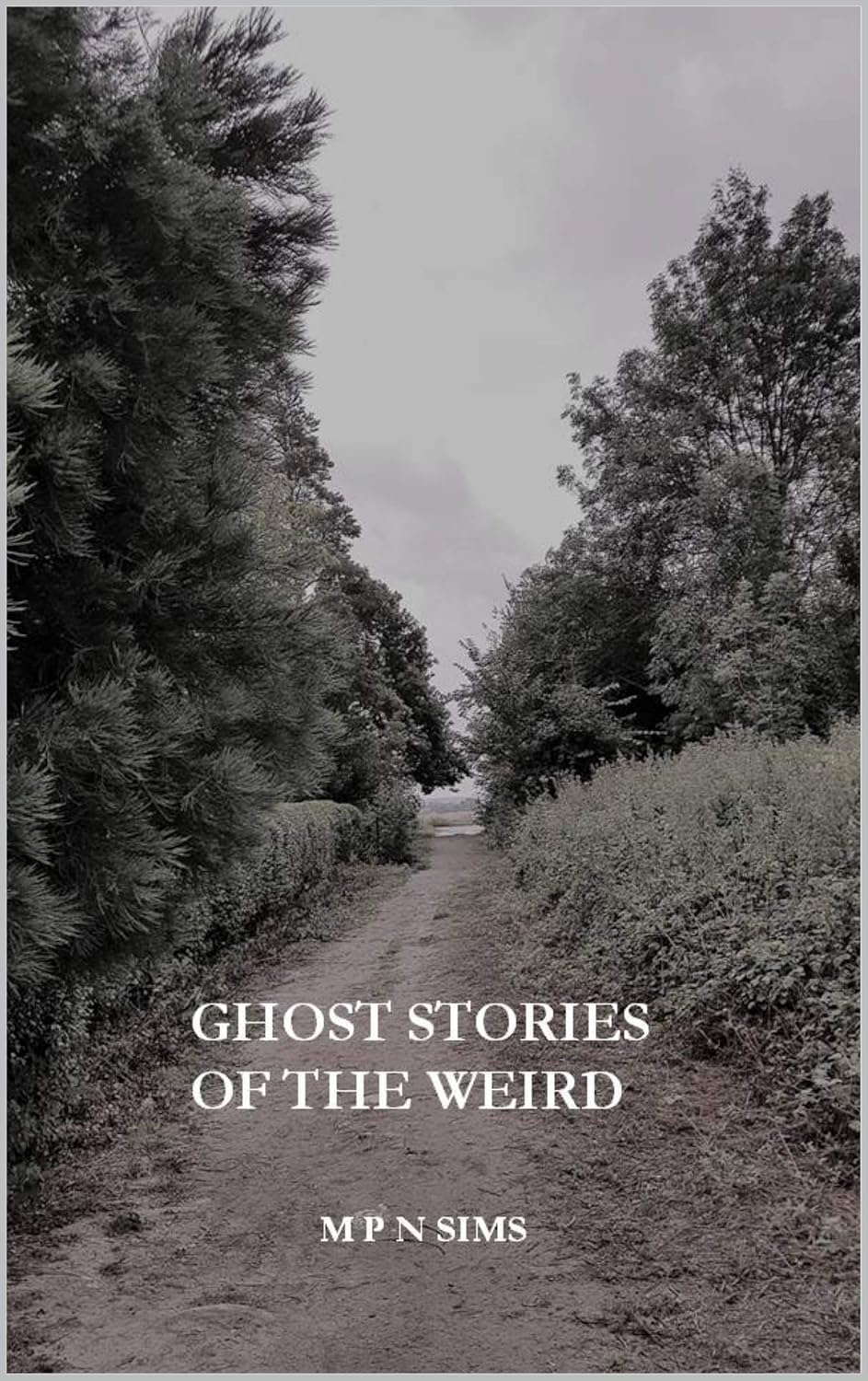 GHOST STORIES OF THE WEIRD: (SIMS GHOST STORY SERIES #4) poster