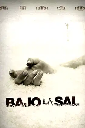 Under the Salt poster