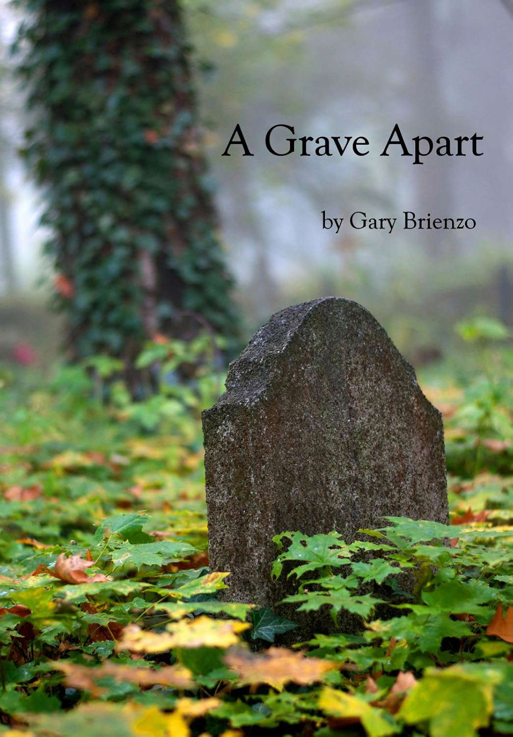 A Grave Apart poster