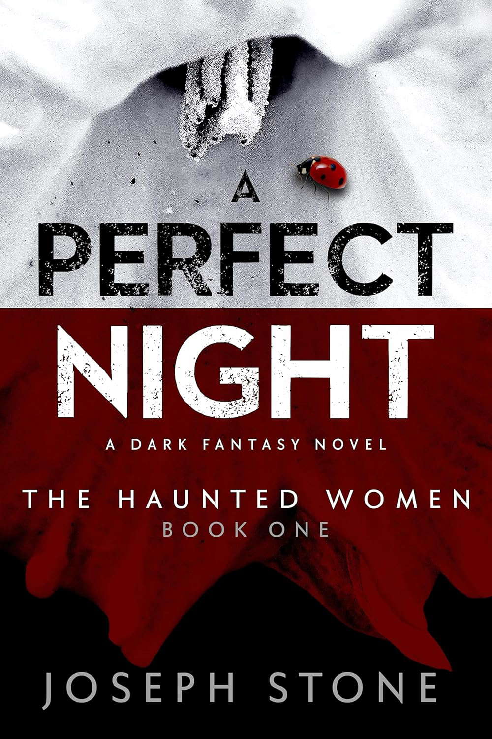 A Perfect Night (The Haunted Women Book 1) poster