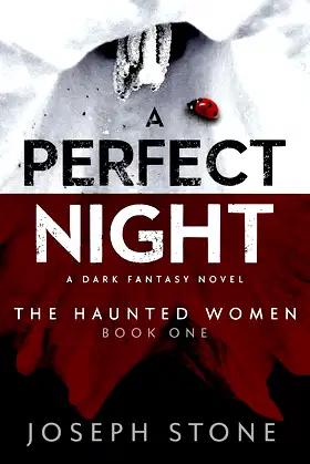 A Perfect Night (The Haunted Women Book 1) poster