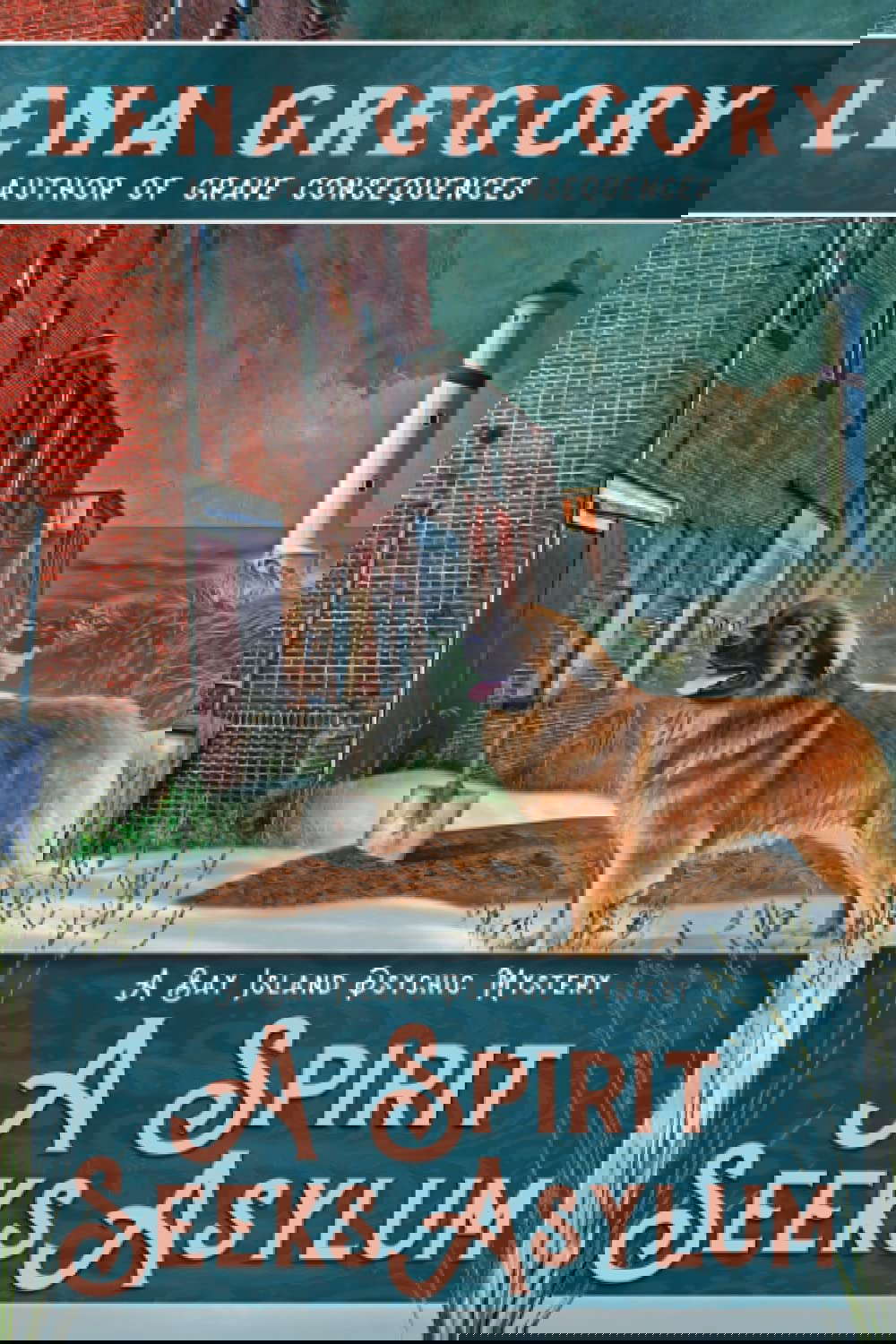 A Spirit Seeks Asylum poster