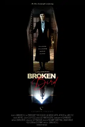 Broken Bird poster