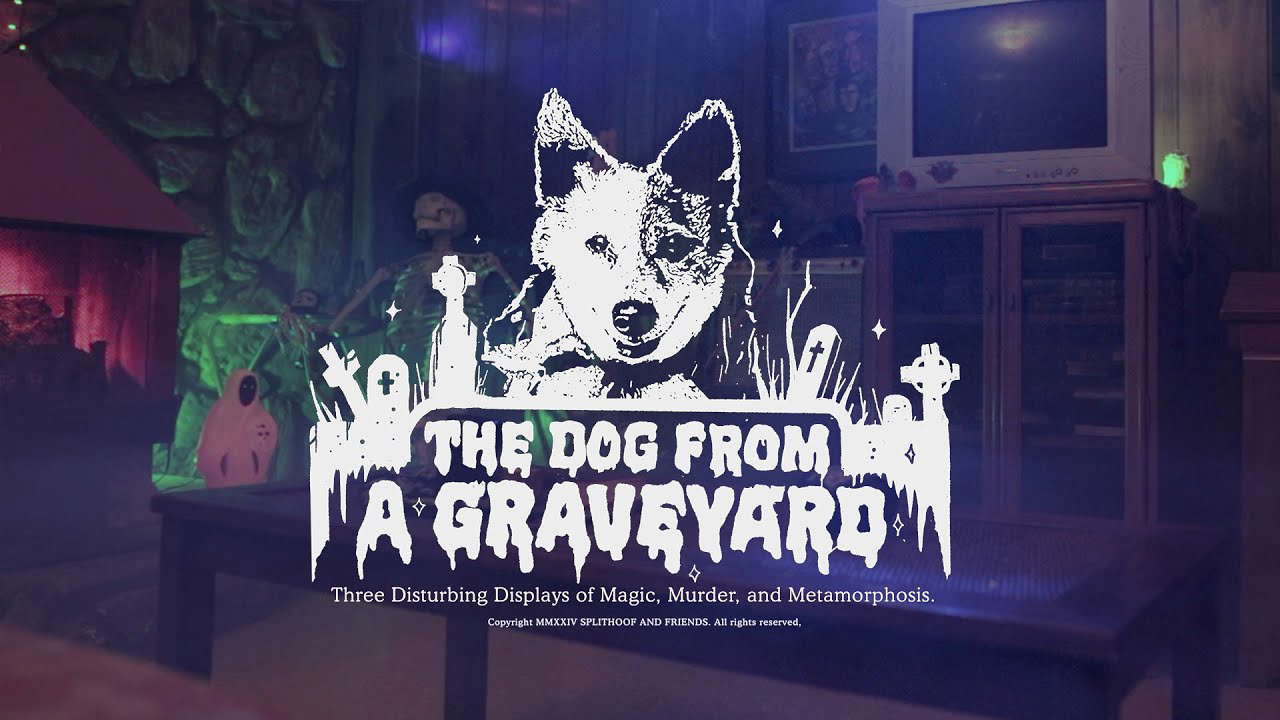 THE DOG FROM A GRAVEYARD | TRAILER
