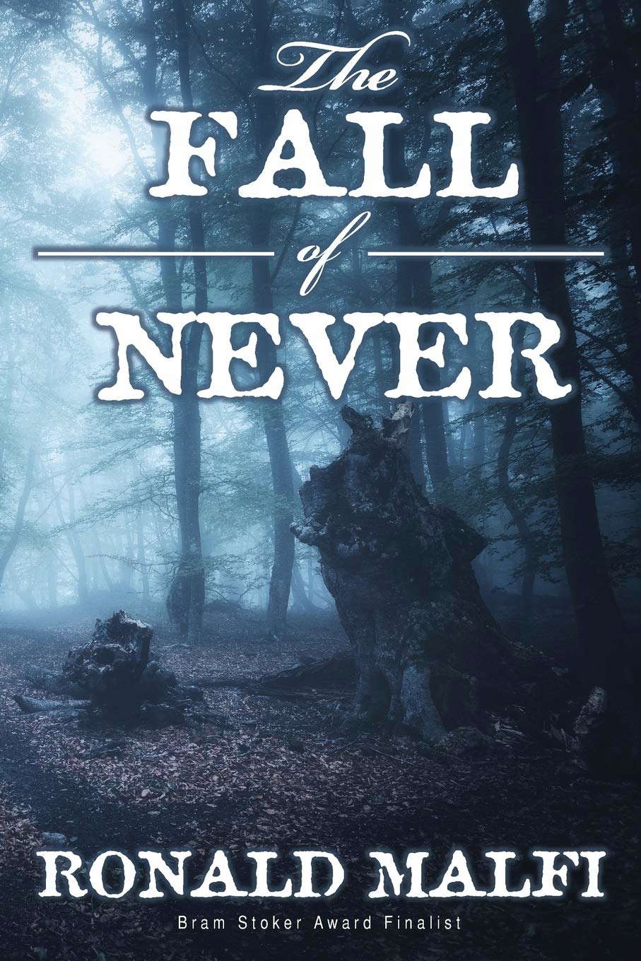 The Fall of Never poster