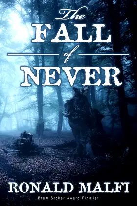 The Fall of Never poster