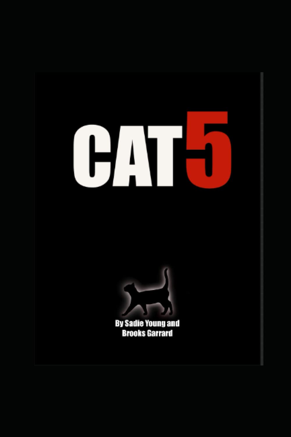 Cat 5: they bite poster