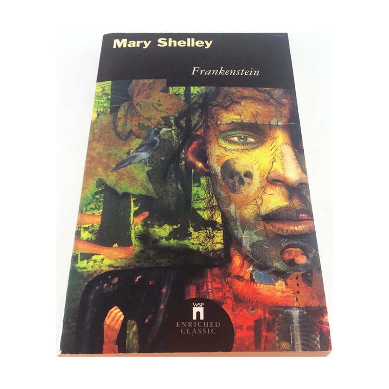 Frankenstein (Enriched Classics Series) poster