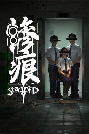 Scarred poster