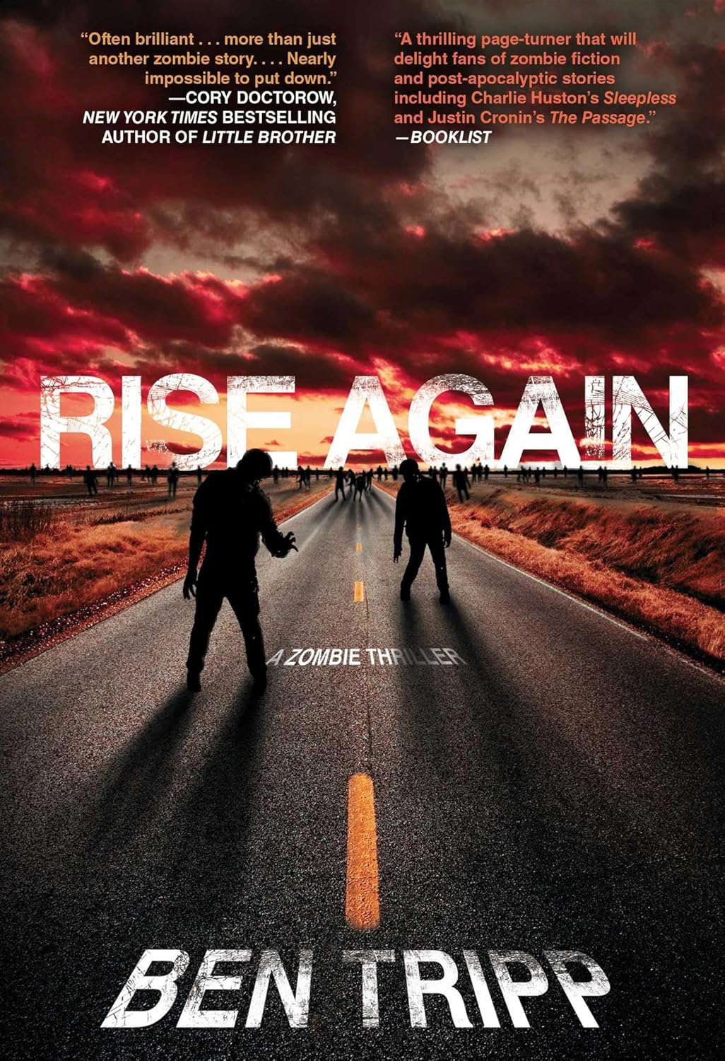 Rise Again poster