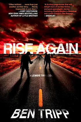 Rise Again poster