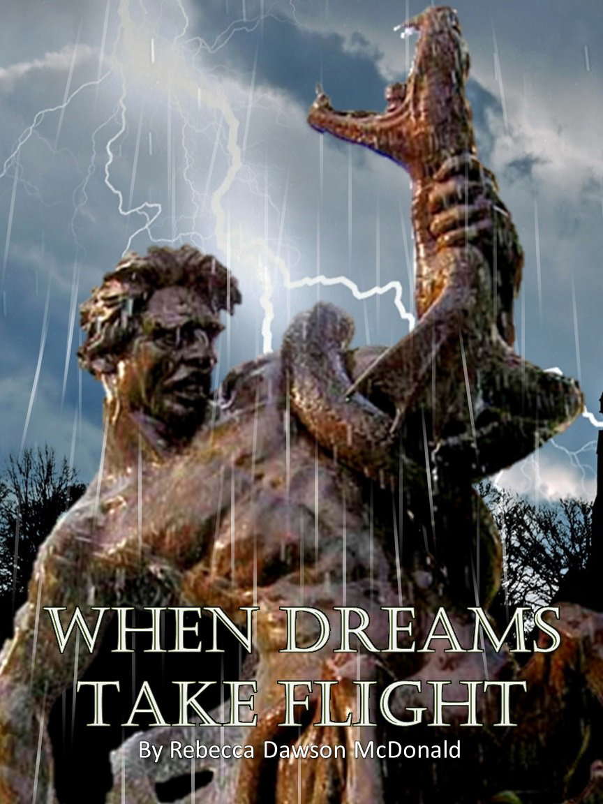 When Dreams Take Flight poster
