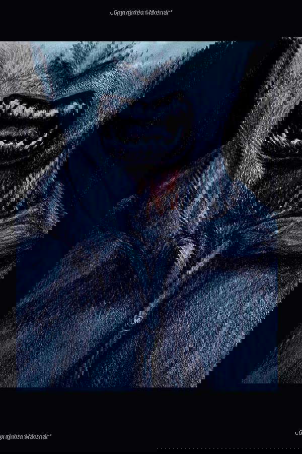 The Hunger poster