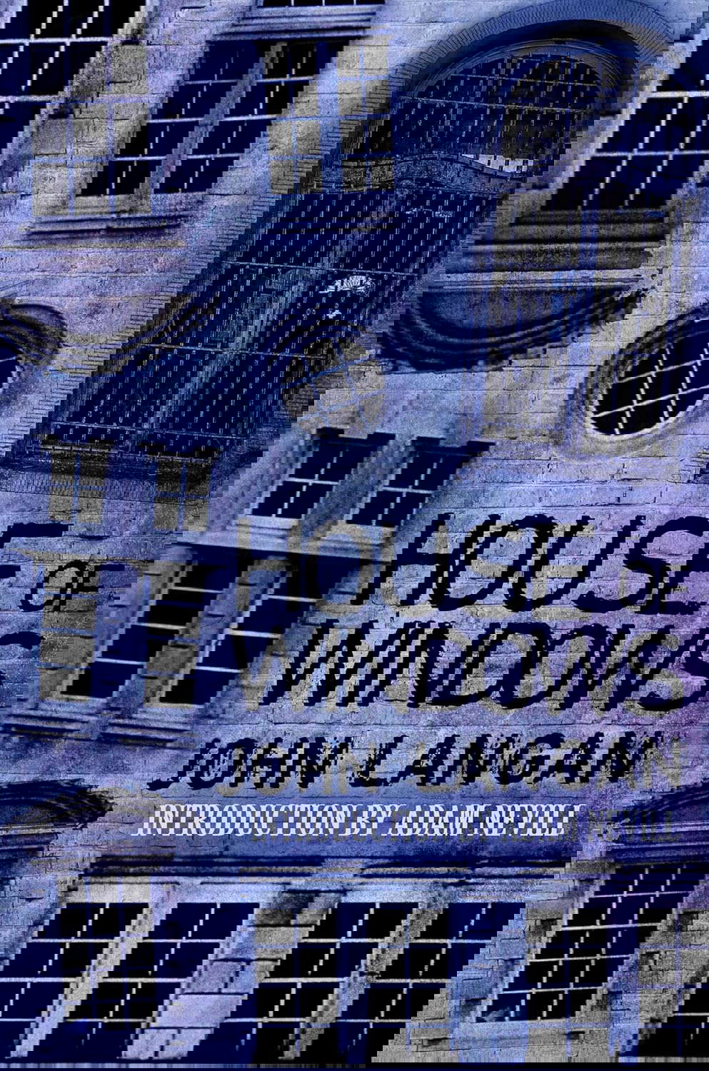 House of Windows poster