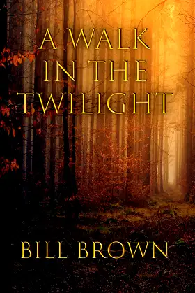 A Walk In The Twilight poster
