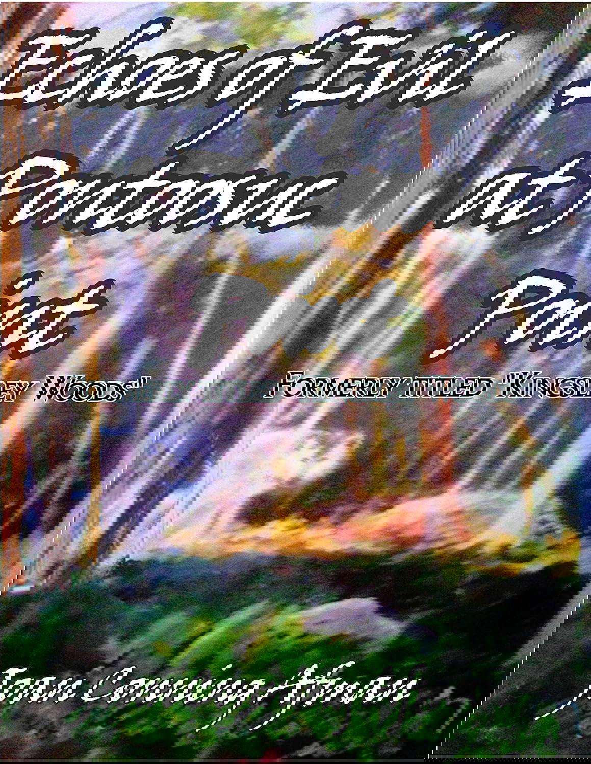 Echoes of Evil at Pontoosuc Point poster