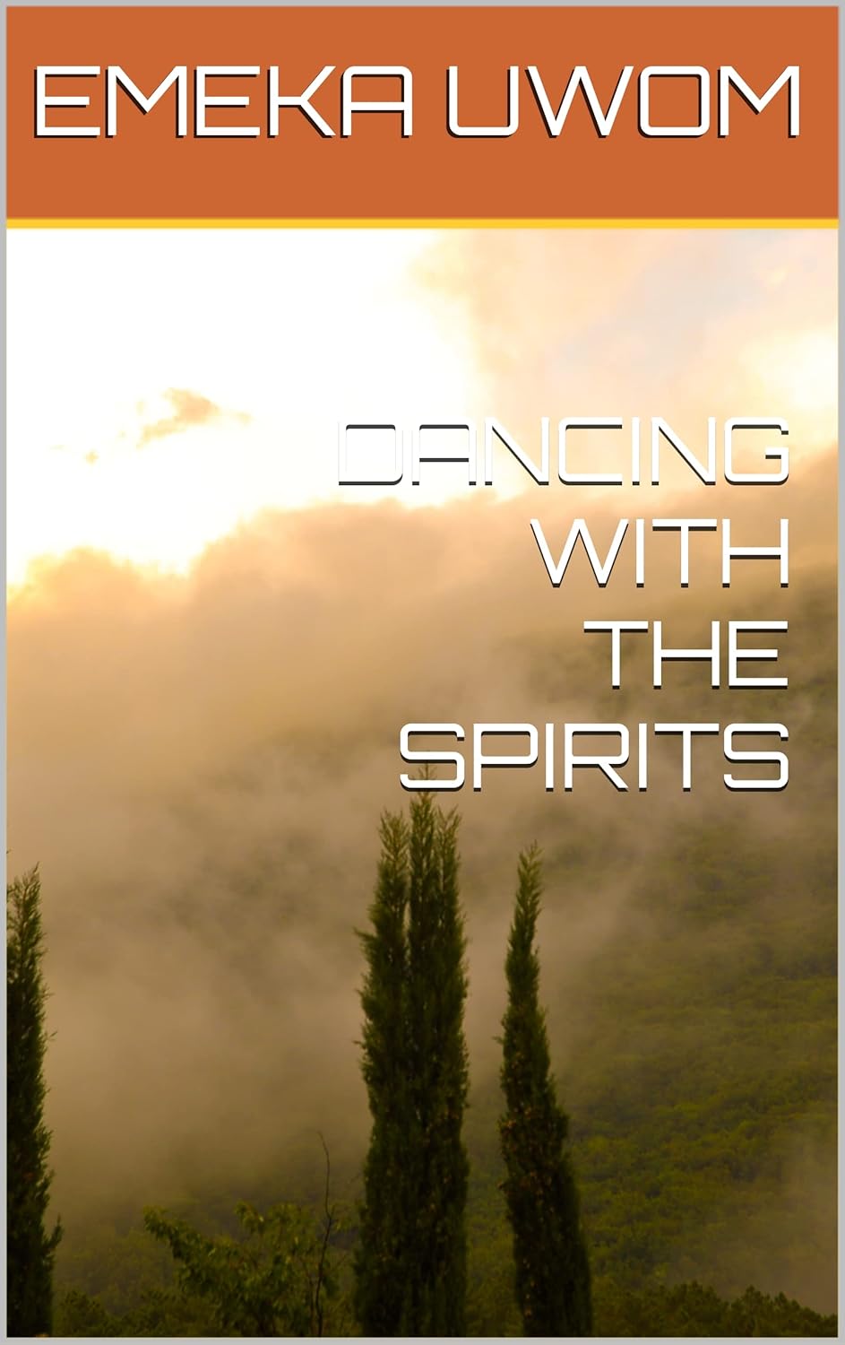 DANCING WITH THE SPIRIT MAIDENS poster