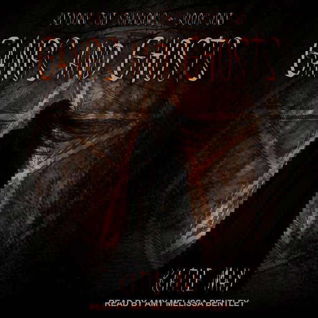 Gangs and Ghosts (The Beyond the Shadows Series) poster