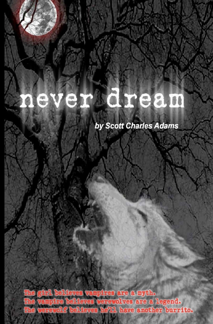 never dream (The Never Dream series) poster