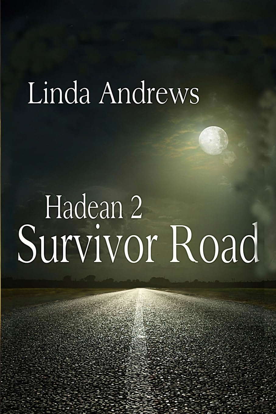 Hadean 2: Survivor Road poster