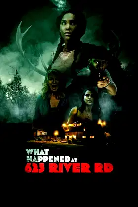 What Happened at 625 River Road? poster