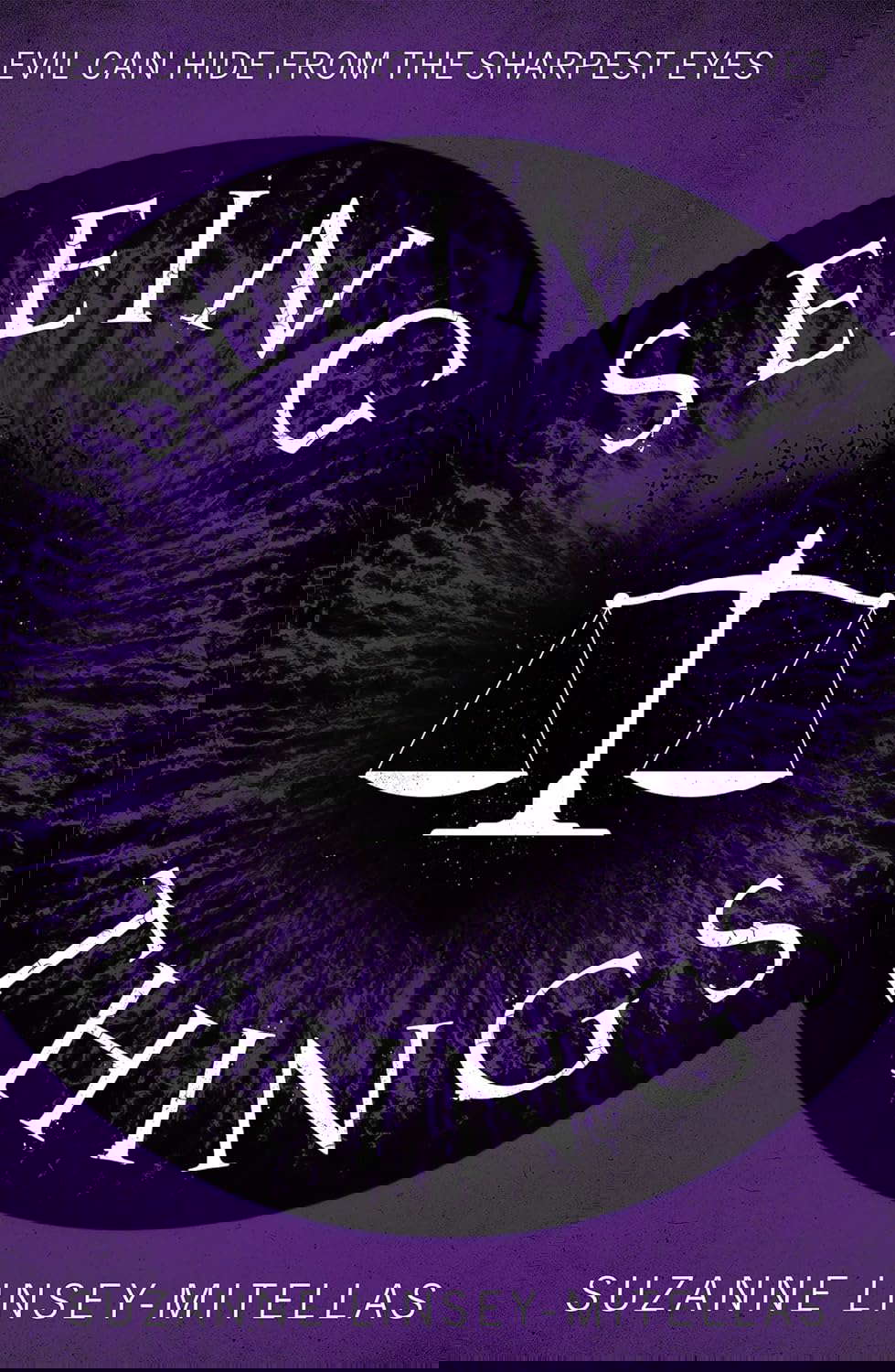 Seeing Things poster