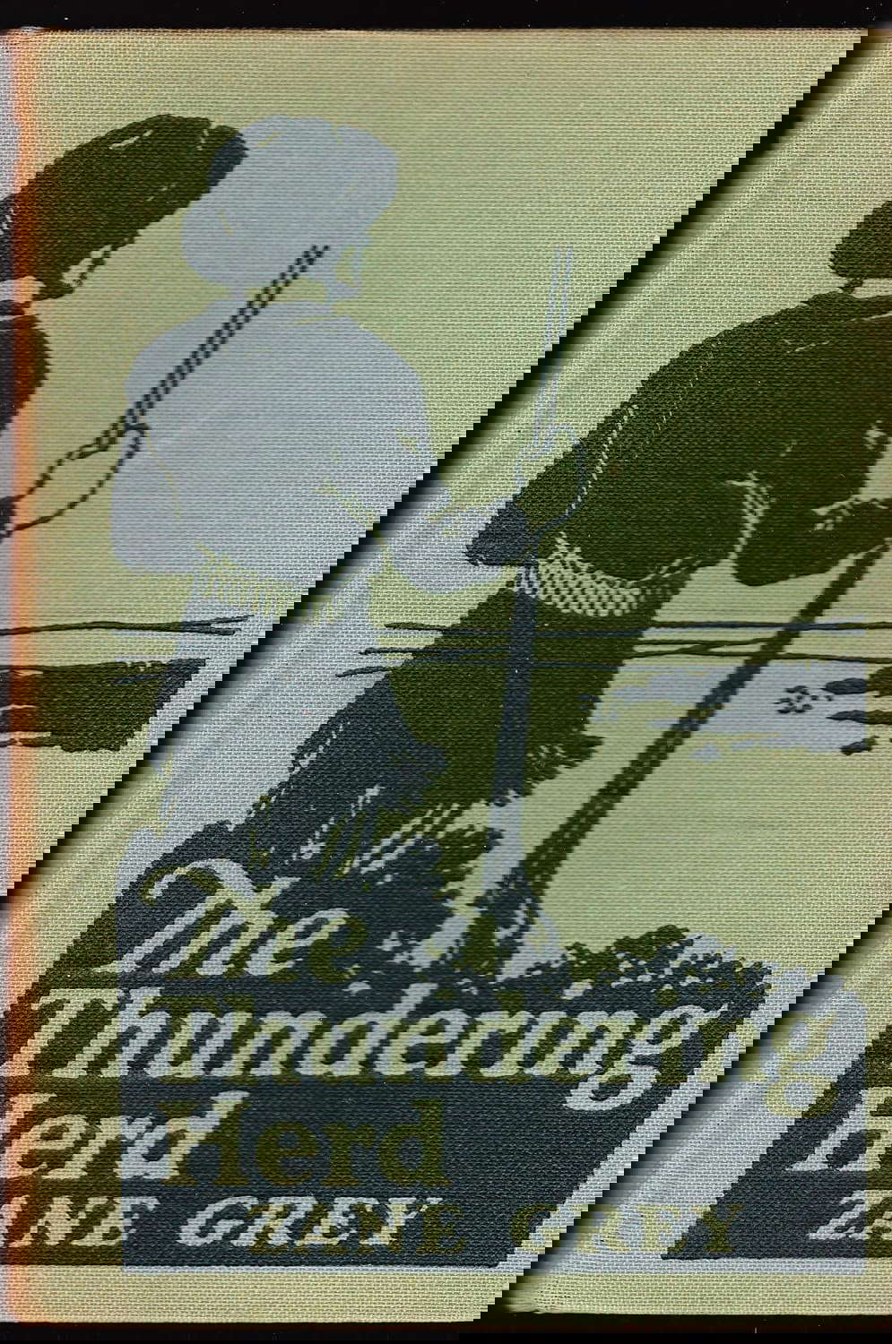The Thundering Herd poster