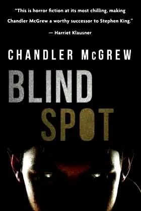 Blind Spot poster