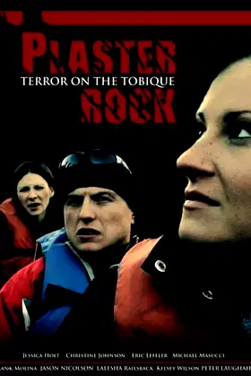 Plaster Rock poster