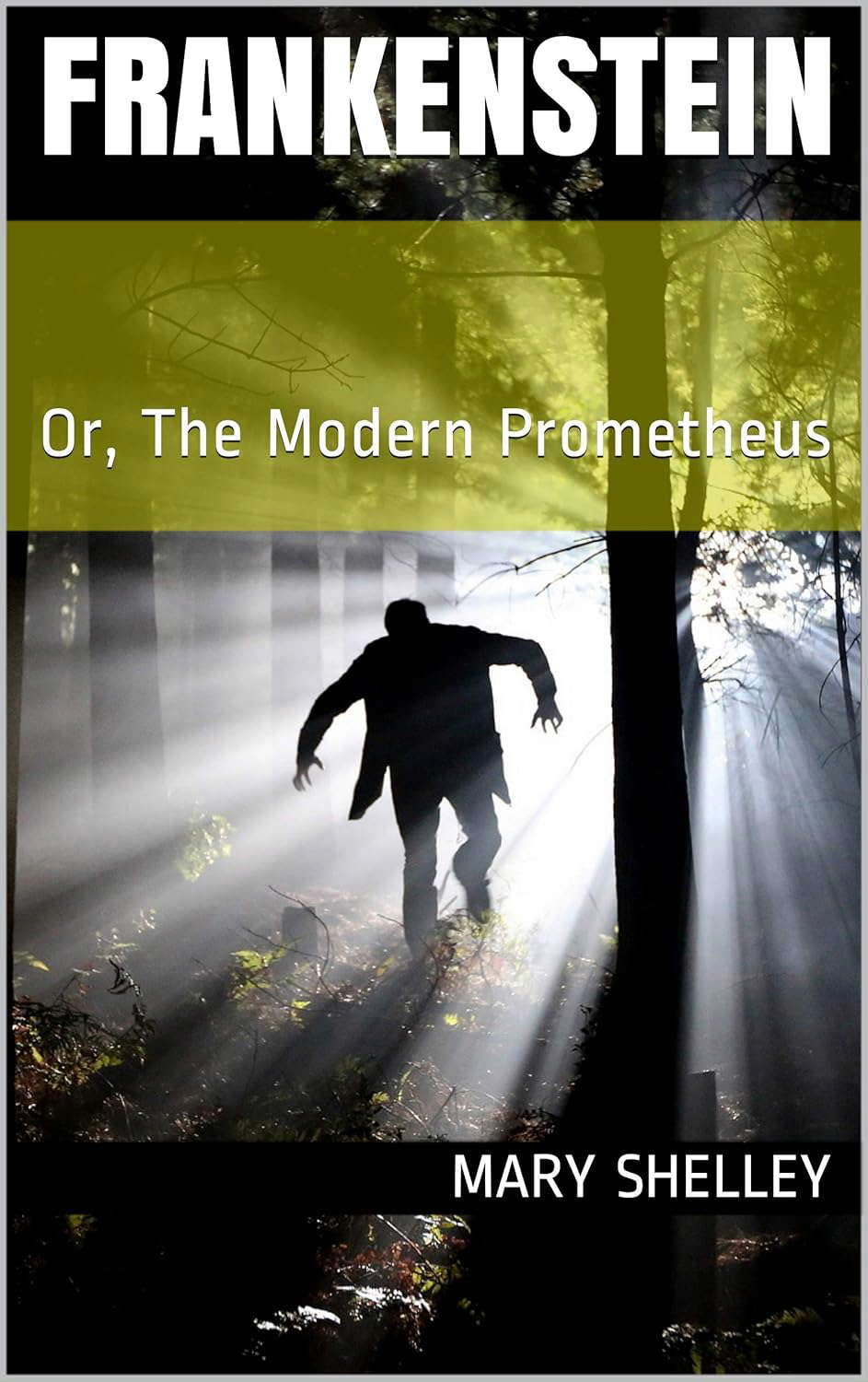 Frankenstein: Or, The Modern Prometheus poster