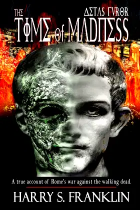Aetas Furor-The Time of Madness poster