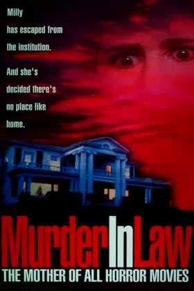 Murder in Law poster