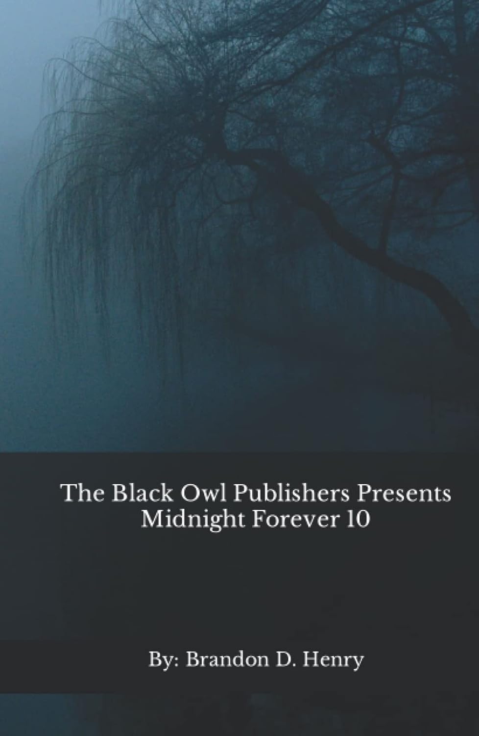 The Black Owl Publishers Presents Midnight Forever 10 poster