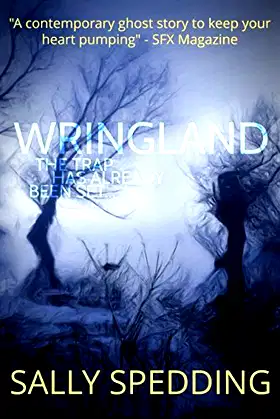 Wringland: A Chilling Ghost Story poster