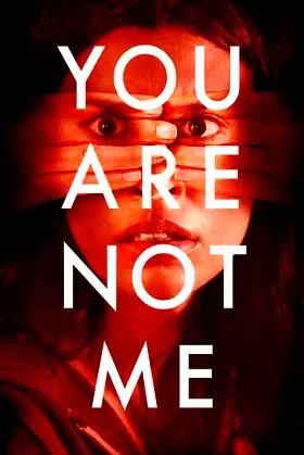 You Are Not Me poster