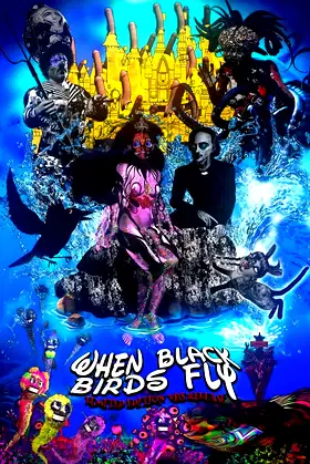 When Black Birds Fly poster