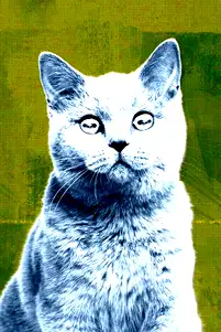 season poster