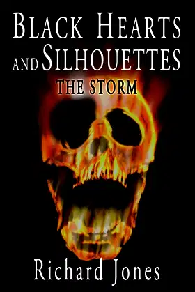 Black Hearts and Silhouettes- Book 1: The Storm poster
