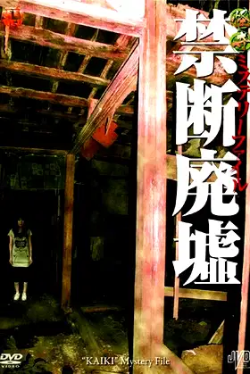 Bizarre Mystery File: Forbidden Ruins poster