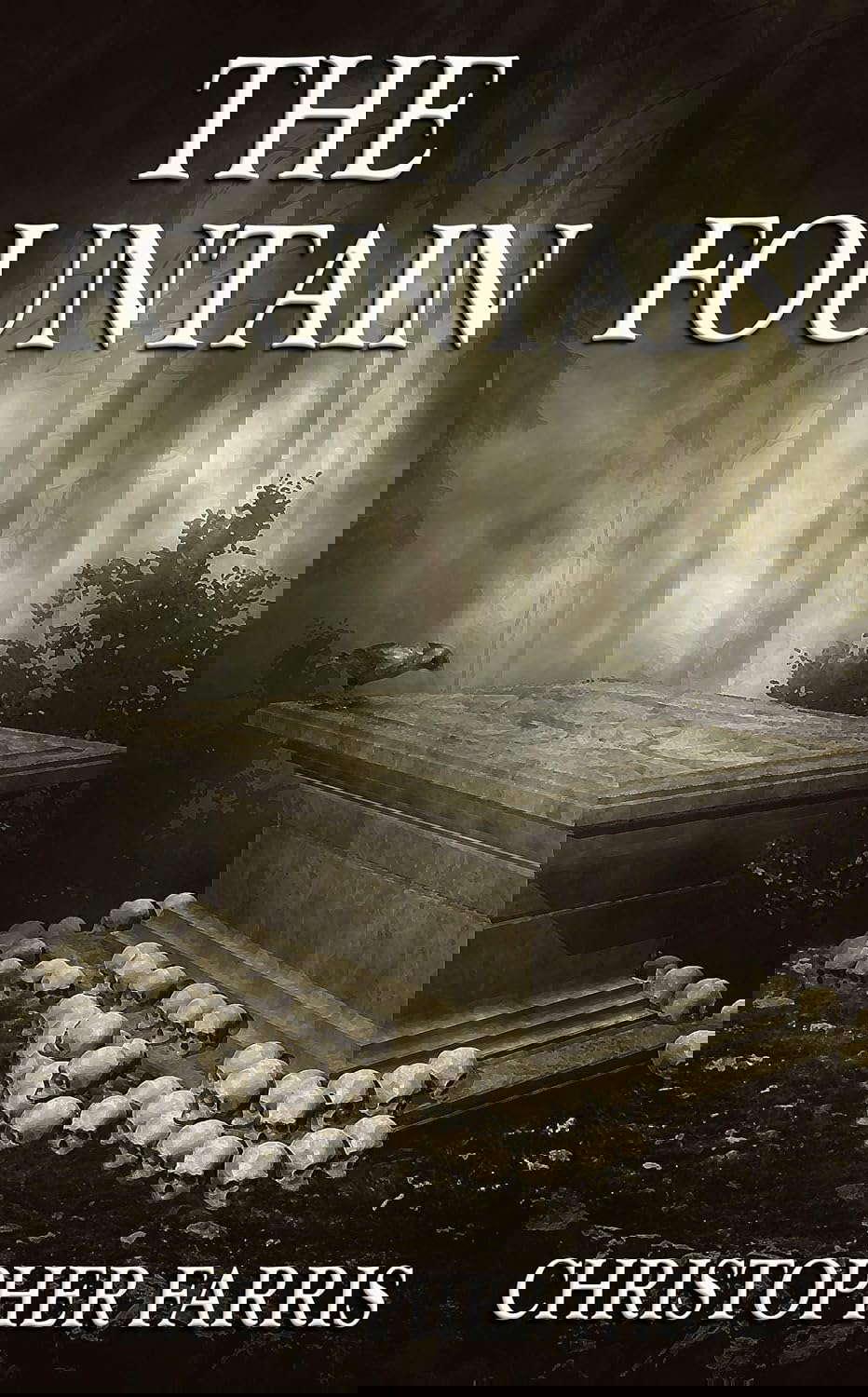 The Fountain poster