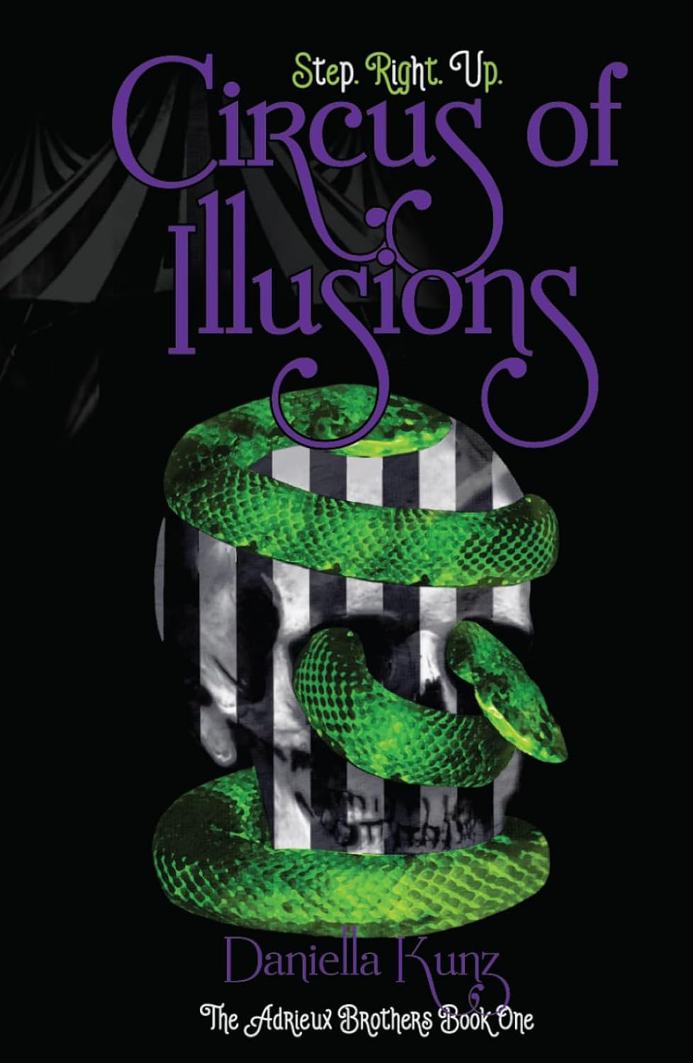 Circus of Illusions (The Adrieux Brothers) poster