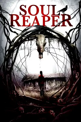 Soul Reaper poster