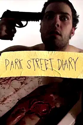 Park Street Diary poster